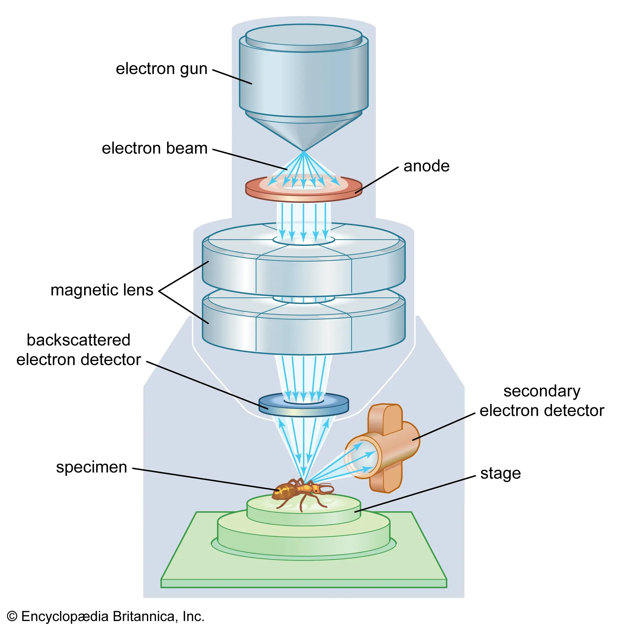 Working principle of electron microscope